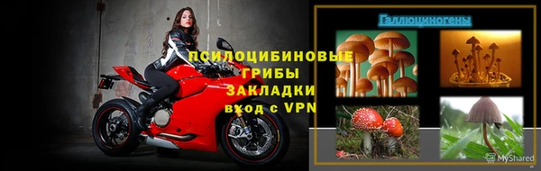 ешки Богданович