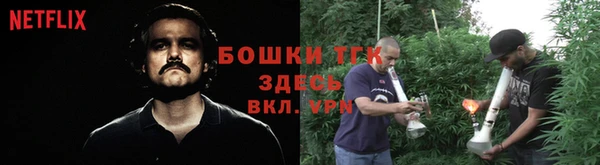 ешки Богданович