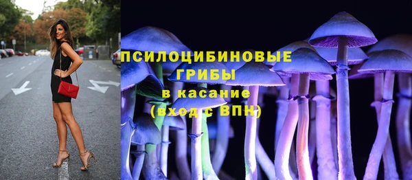 соль ск Богородицк