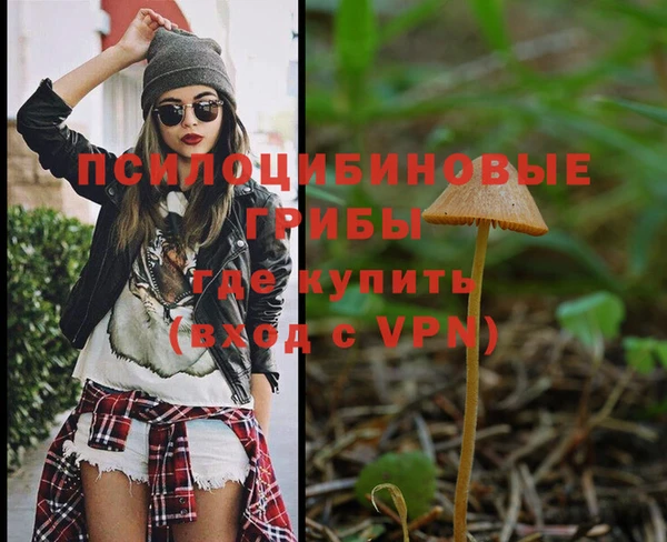 ешки Богданович