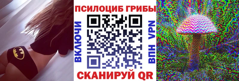 Псилоцибиновые грибы MAGIC MUSHROOMS  купить наркотик  Ковров 