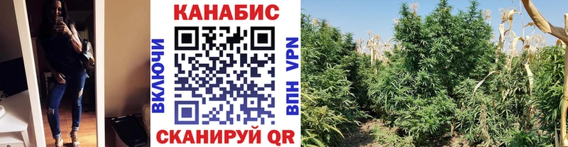 Конопля Amnesia  Ковров 